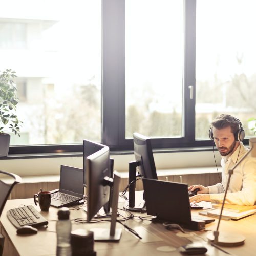 Jakie kwiaty do biura poprawią atmosferę pracy?